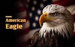 Series: American Eagle