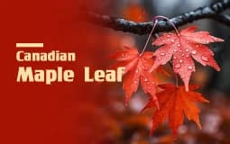 Series: Canadian Maple Leaf